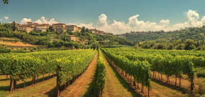  Frascati Wine Road from Rome: Tasting & Lunch